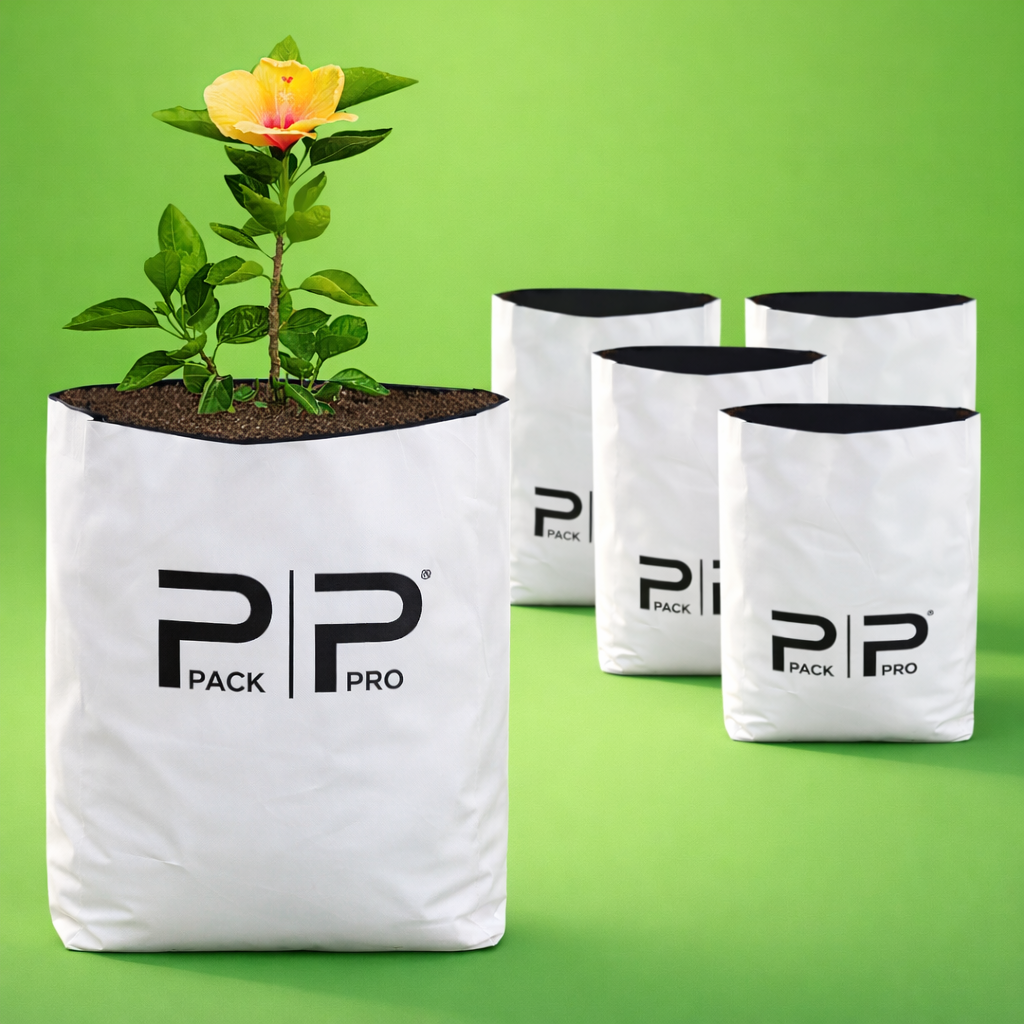 chatgpt image dec 17, 2025, 09 10 32 am