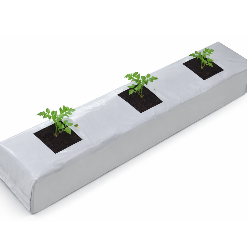 untitled design (57)